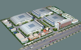 現(xiàn)代化大棚羊肚菌與黑木耳蔬菜輪種果樹套種食用植物油加工廠可行性報告范文